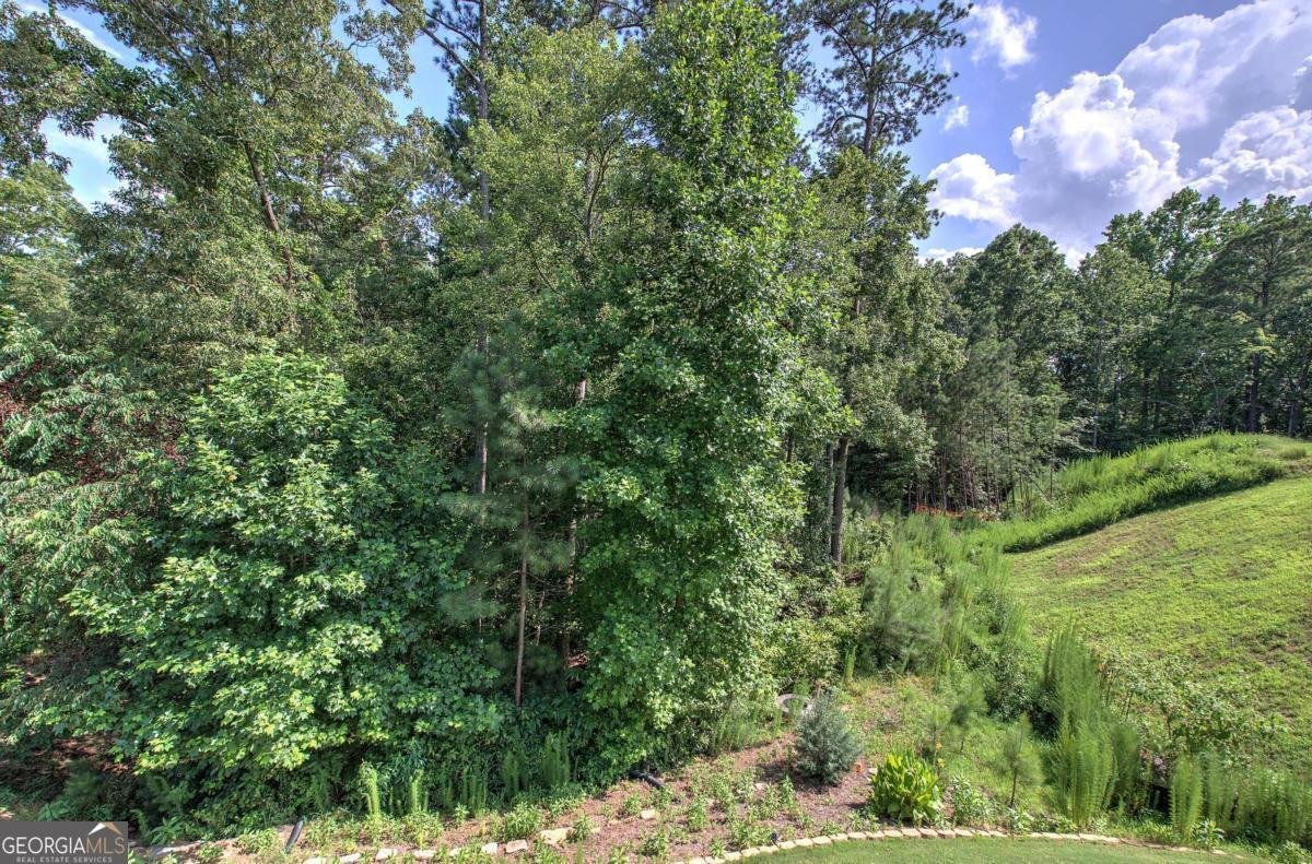 17 Ivy Stone Court Cartersville - 55