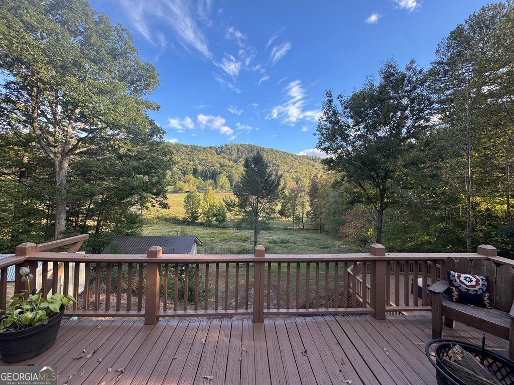 300 Harris Drive Blue Ridge - 50