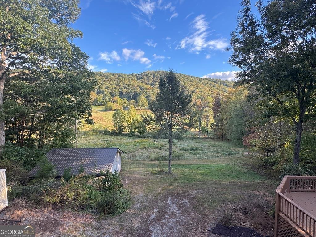 300 Harris Drive Blue Ridge - 51