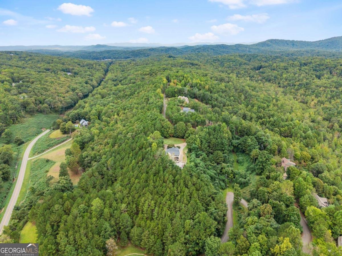 335 Oak Morris Ridge Jasper - 10