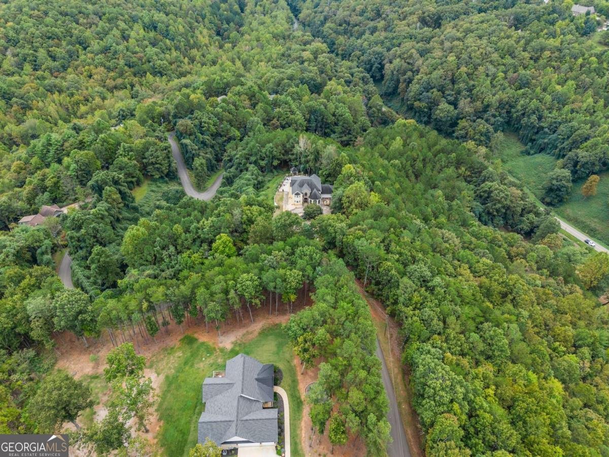 335 Oak Morris Ridge Jasper - 3