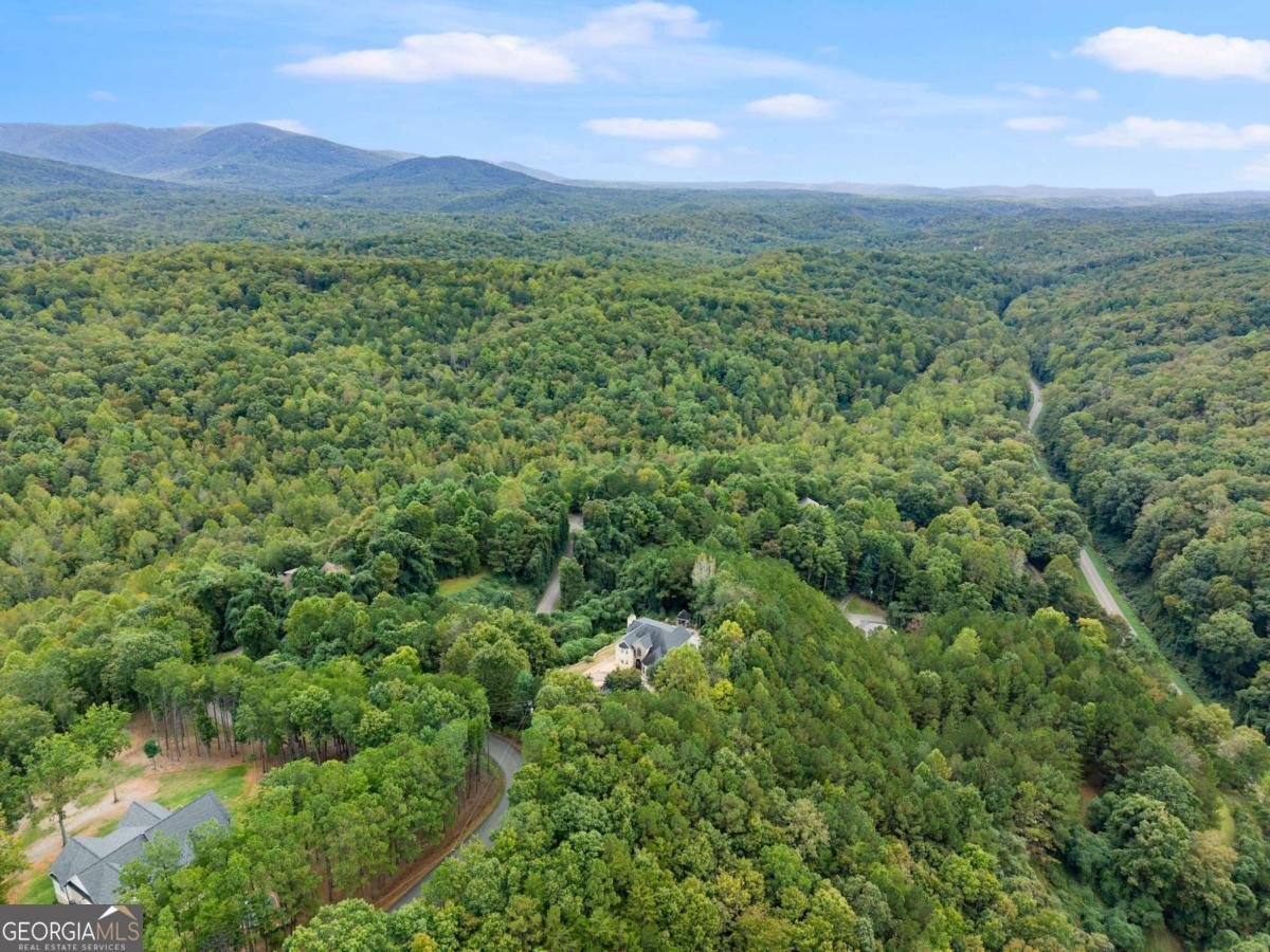 335 Oak Morris Ridge Jasper - 4