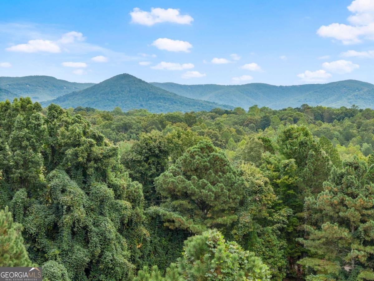 335 Oak Morris Ridge Jasper - 49