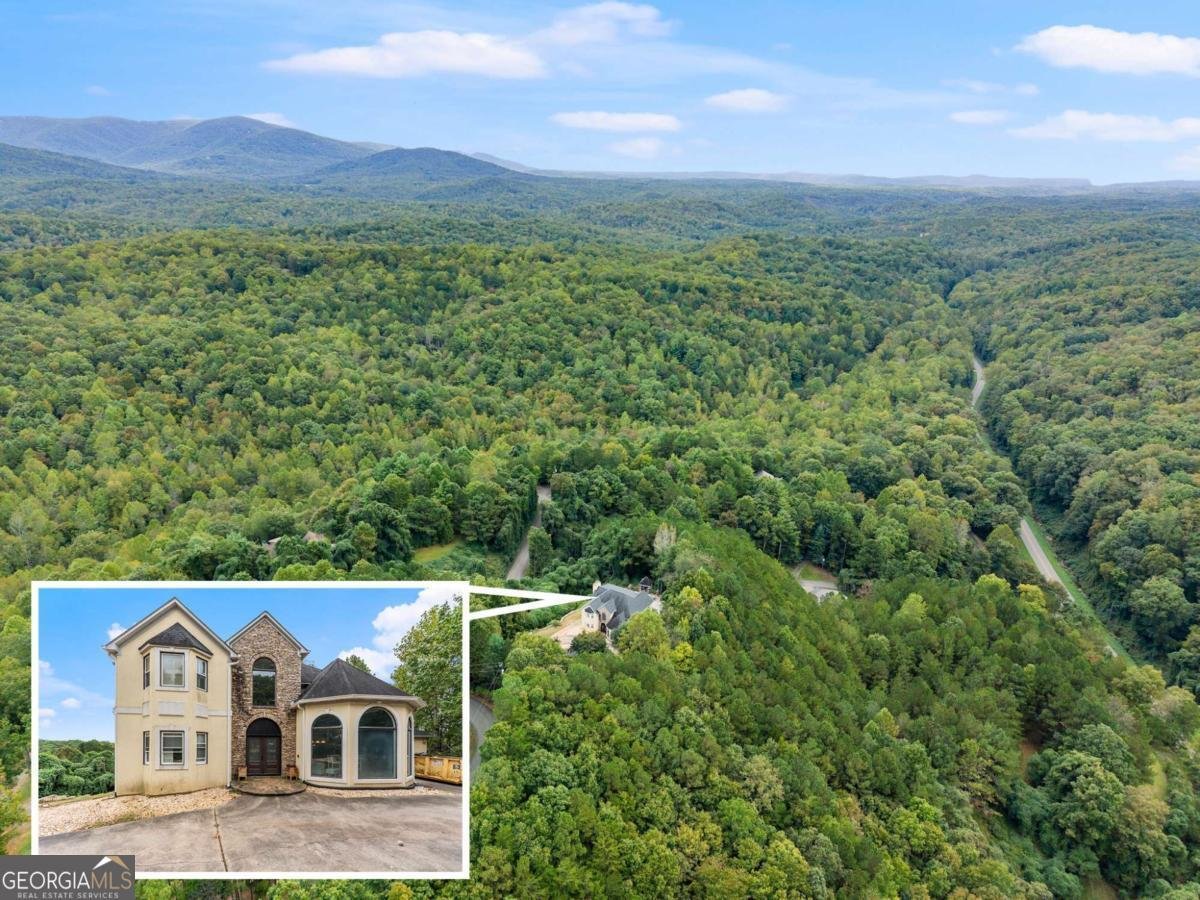 335 Oak Morris Ridge Jasper - 5