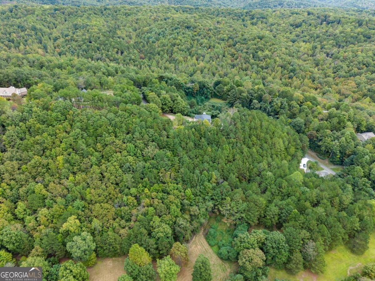 335 Oak Morris Ridge Jasper - 7