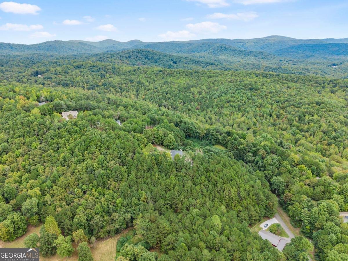 335 Oak Morris Ridge Jasper - 8