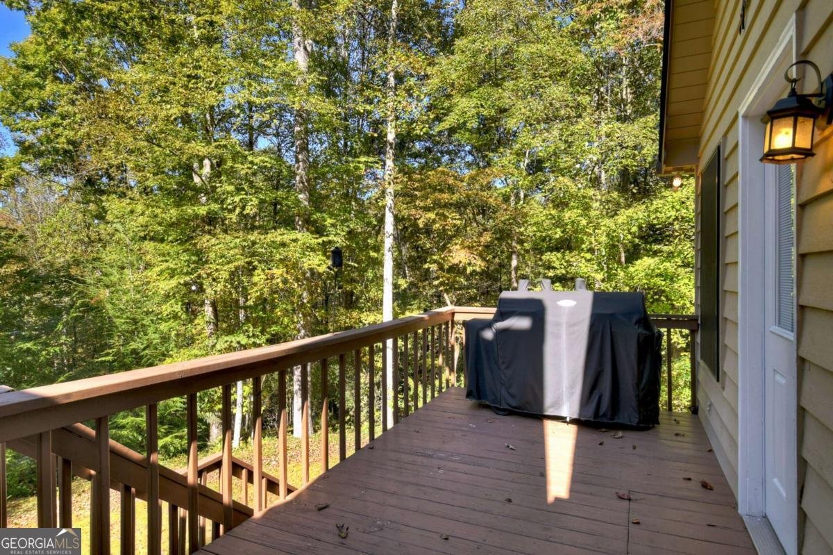 446 Riverwood Road Ellijay - 20