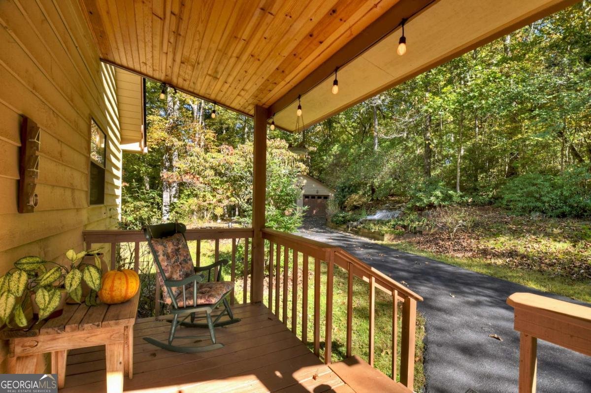 446 Riverwood Road Ellijay - 48