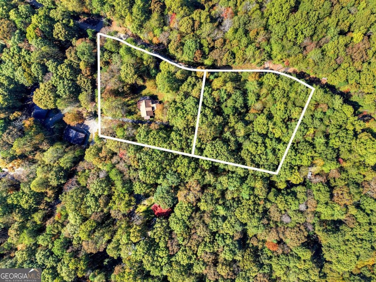 446 Riverwood Road Ellijay - 5