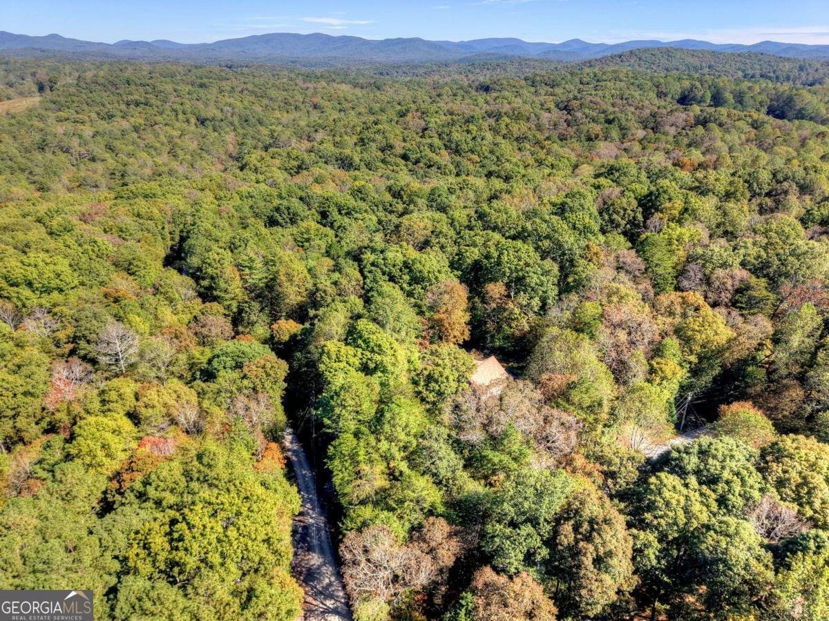 446 Riverwood Road Ellijay - 52