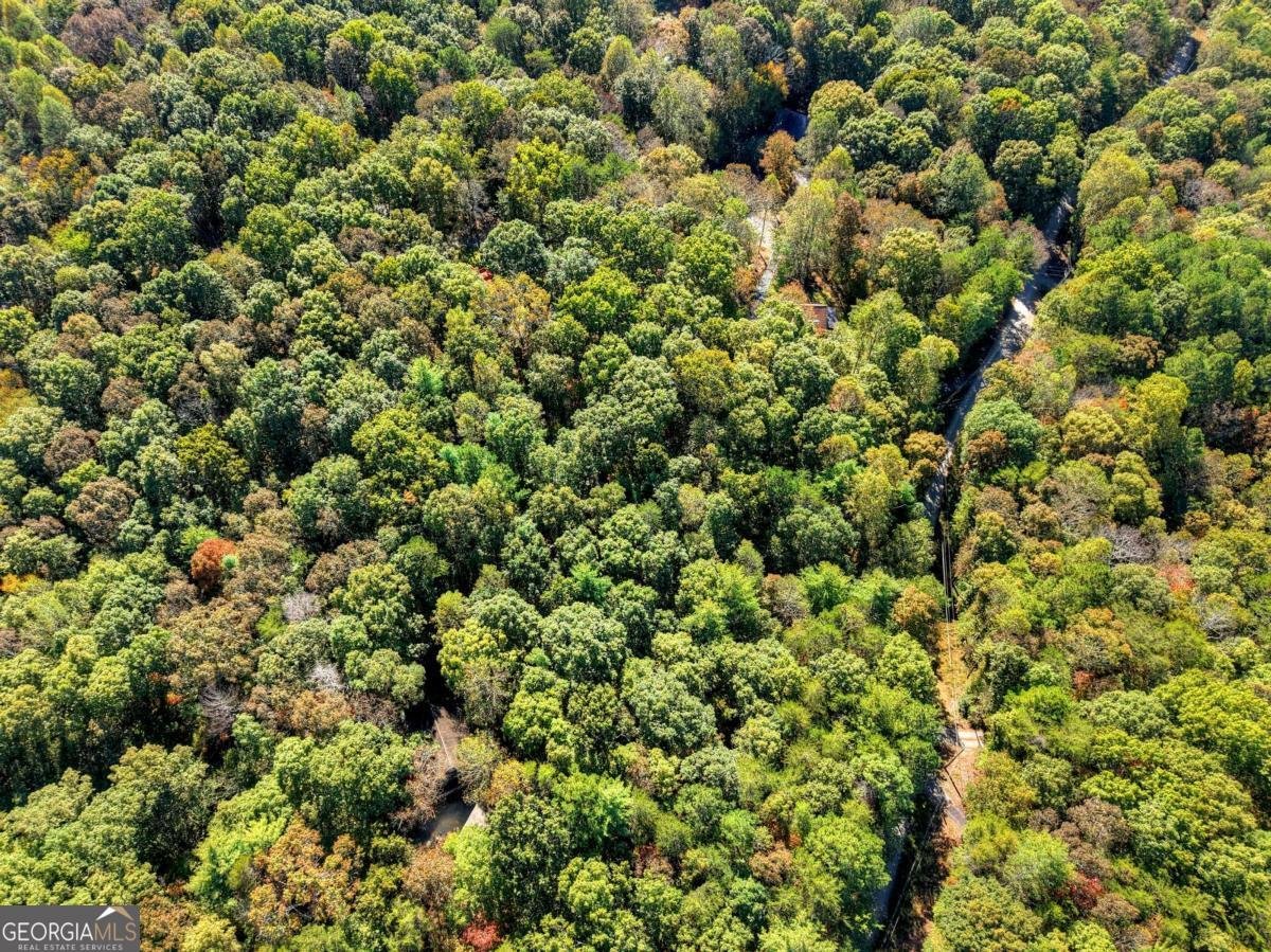 446 Riverwood Road Ellijay - 53