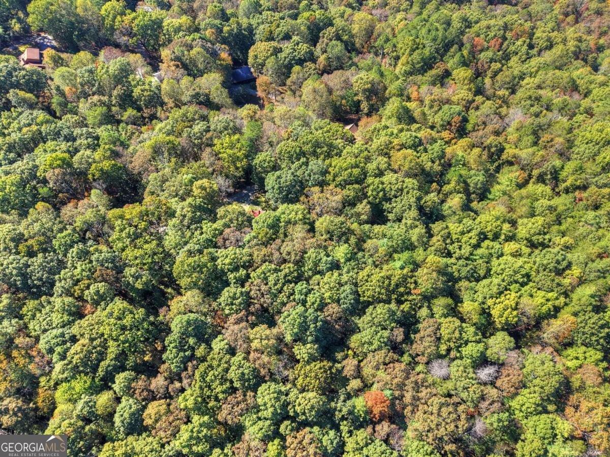 446 Riverwood Road Ellijay - 54