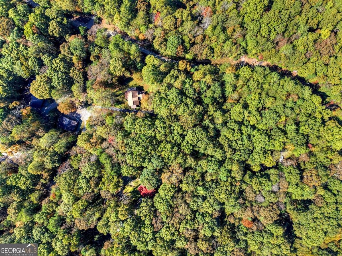 446 Riverwood Road Ellijay - 55