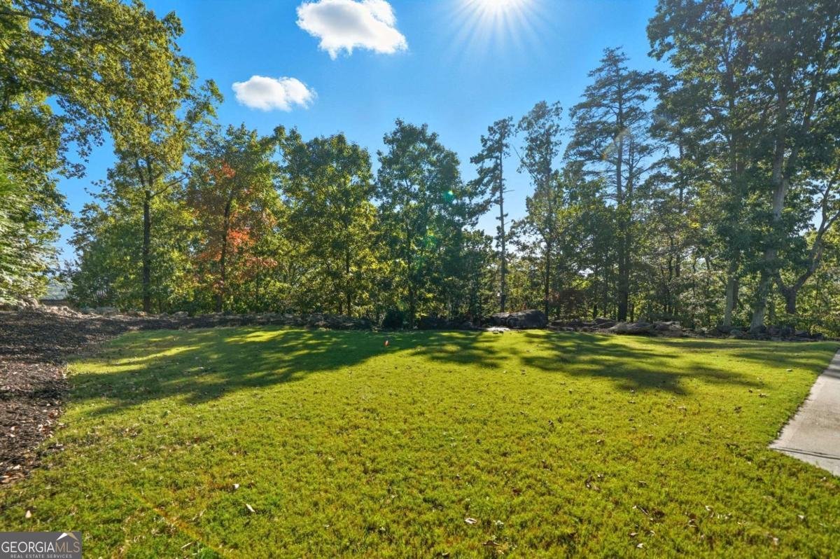 114 Moose Loop Waleska - 45