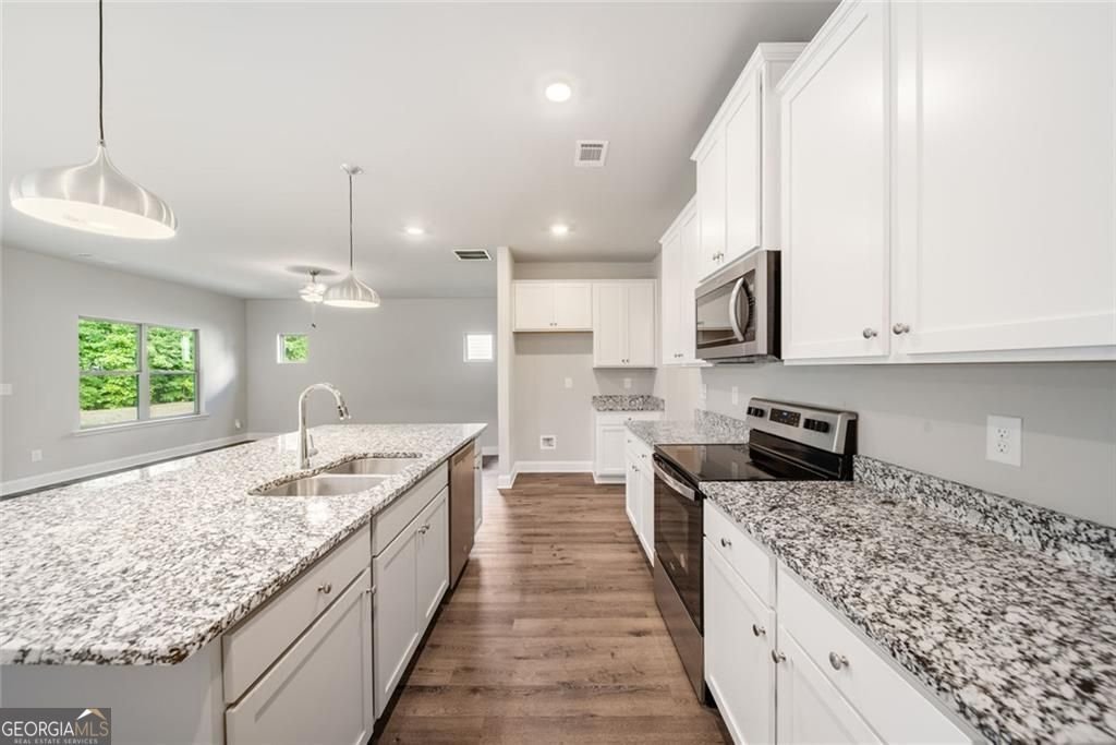 2945 Vinca Drive Buford - 17