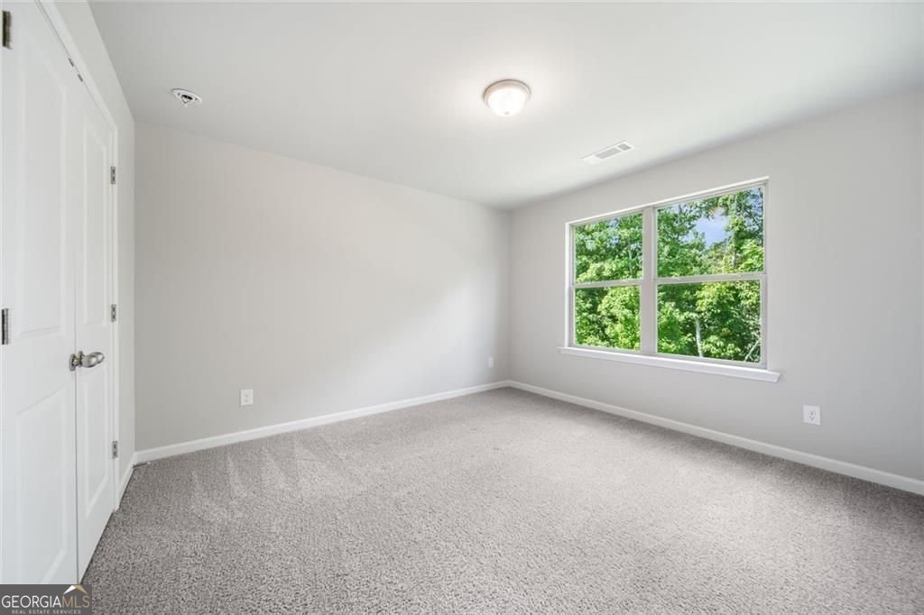 2945 Vinca Drive Buford - 29