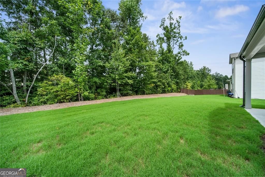 2945 Vinca Drive Buford - 42