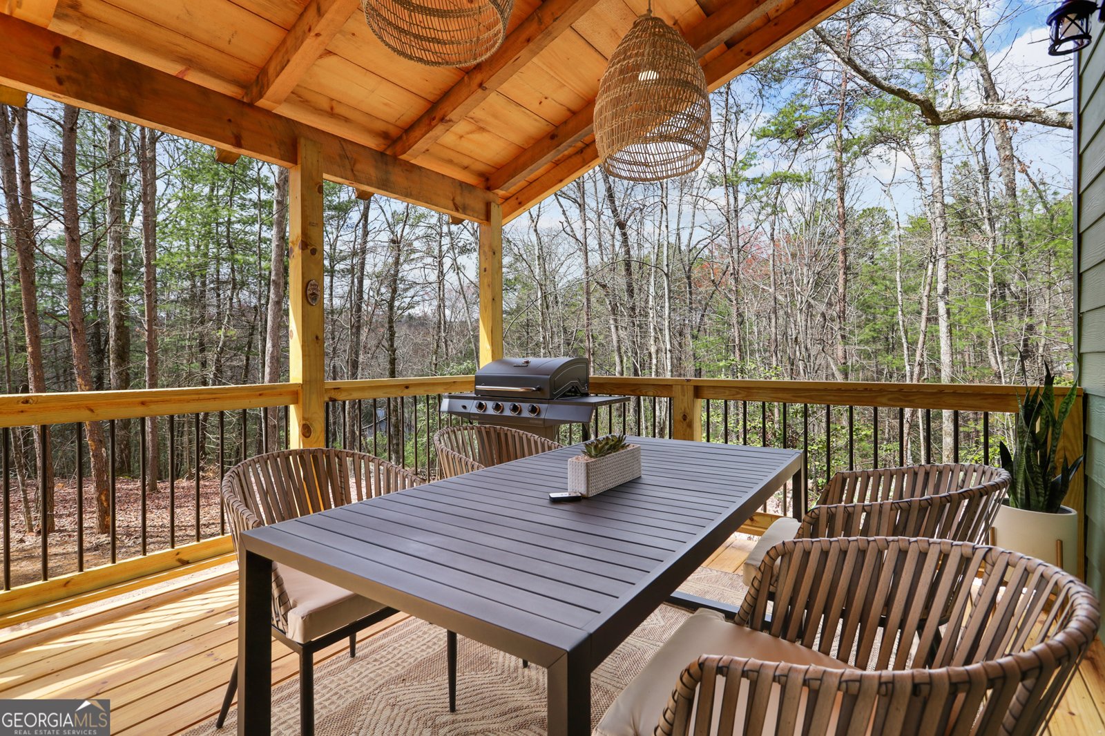 293 Scott Hollow Road Ellijay - 14