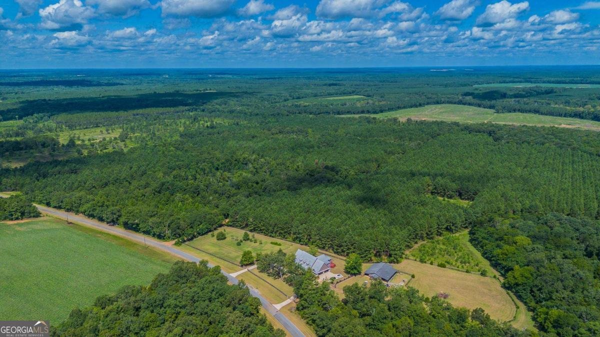 391 Cannon Road Hawkinsville - 3