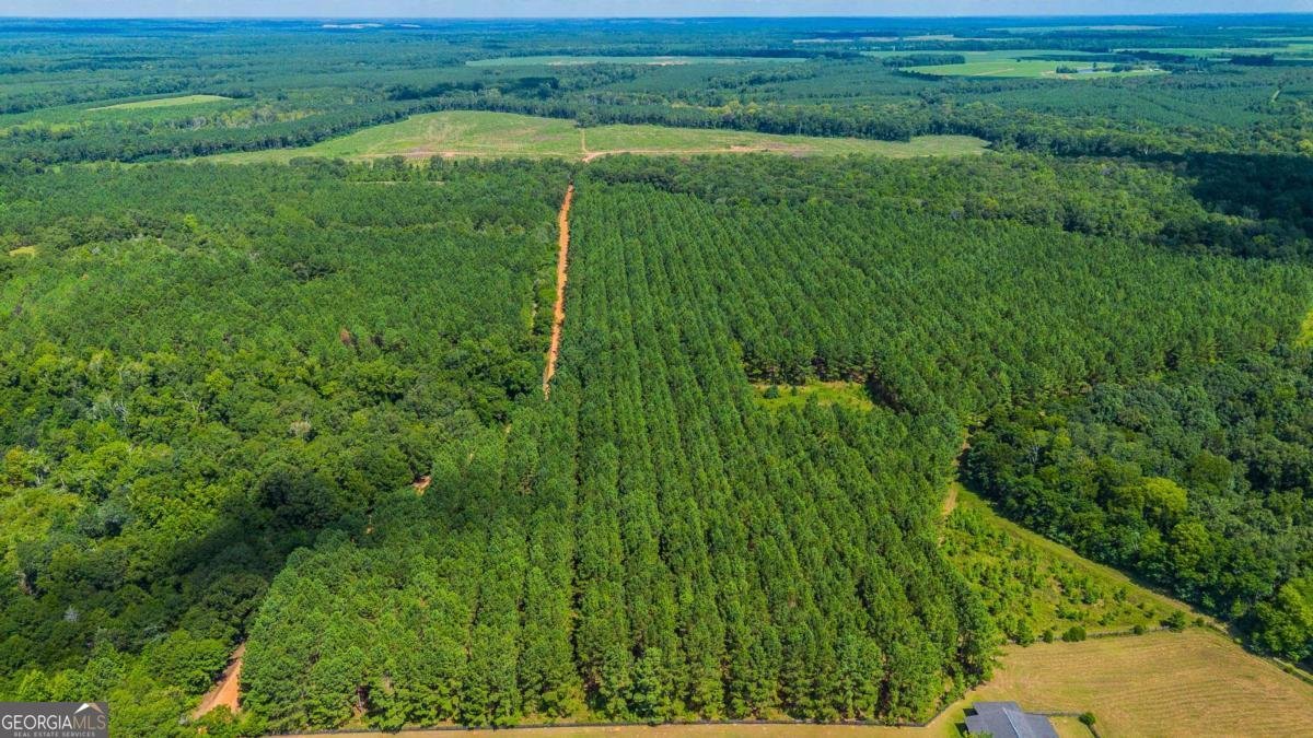 391 Cannon Road Hawkinsville - 4