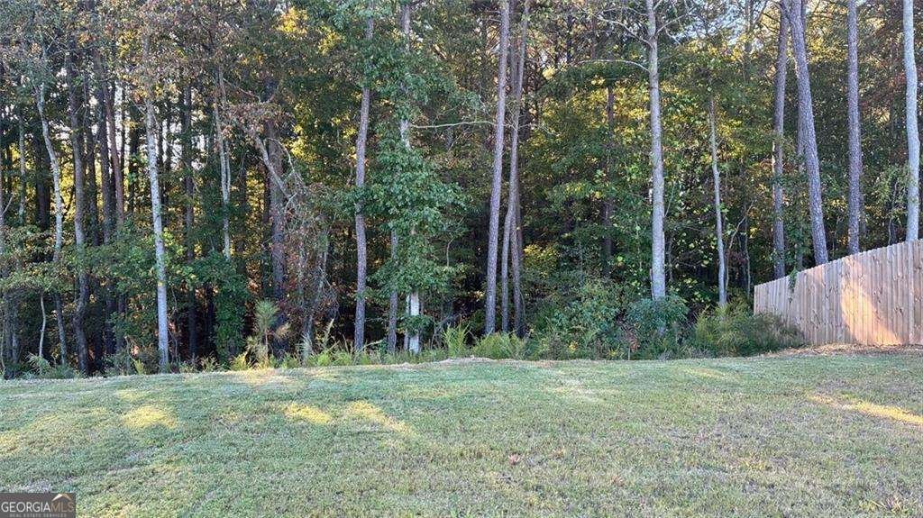 117 Red Maple Way Adairsville - 23