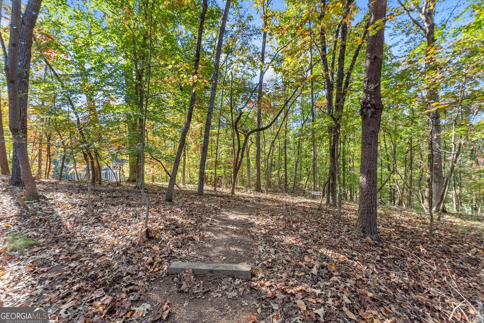 6187 Grants Ford Drive Gainesville - 37