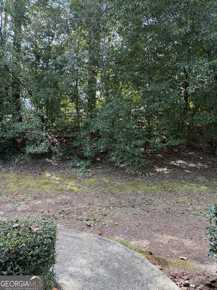 6449 Pinebark Way Morrow - 21