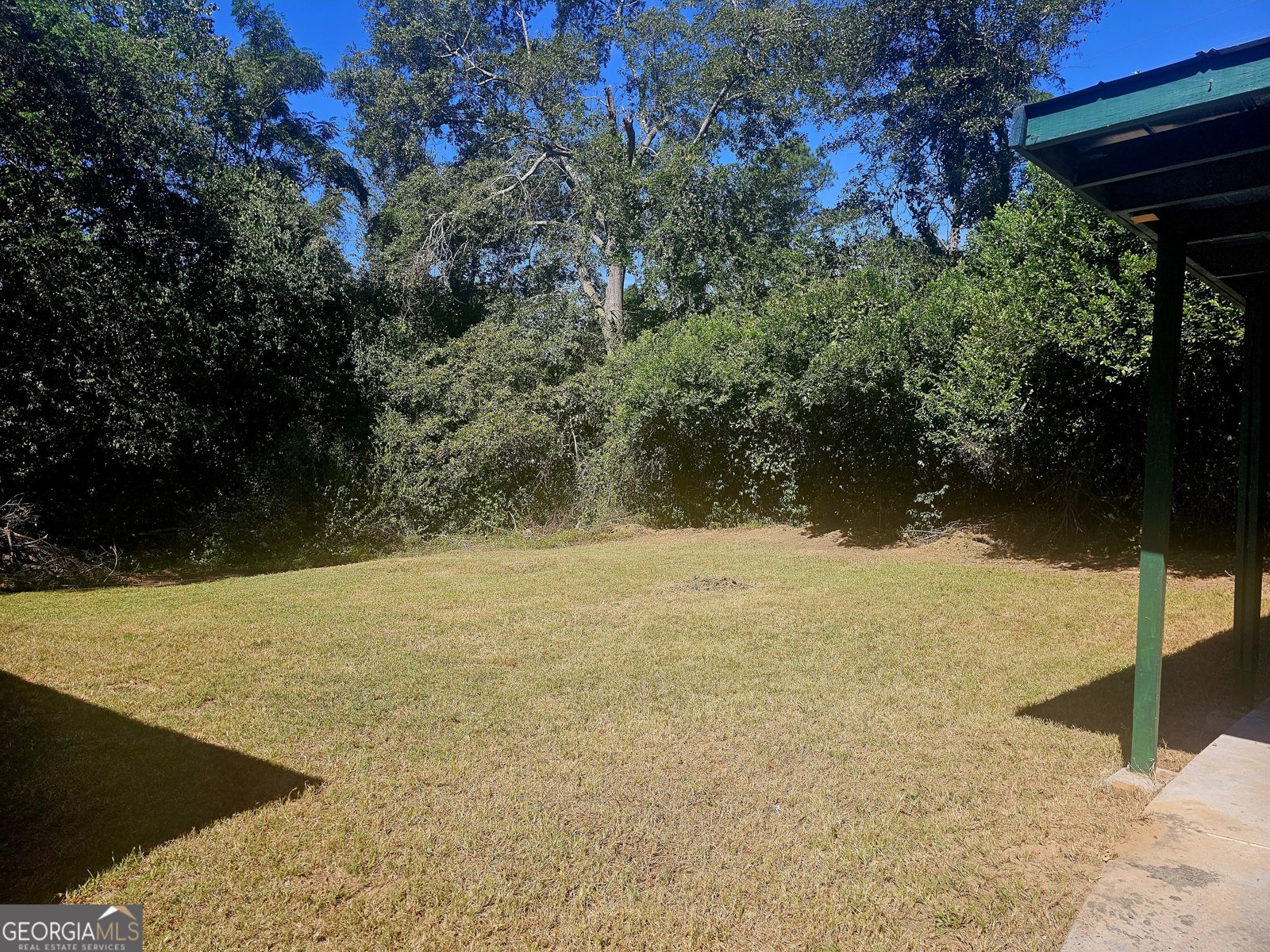 3819 Frances Drive Macon - 16