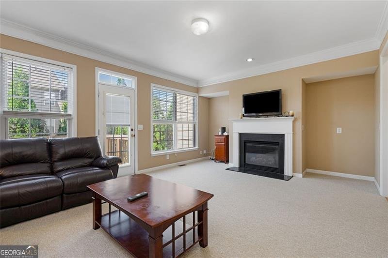 10840 Yorkwood Street Duluth - 13