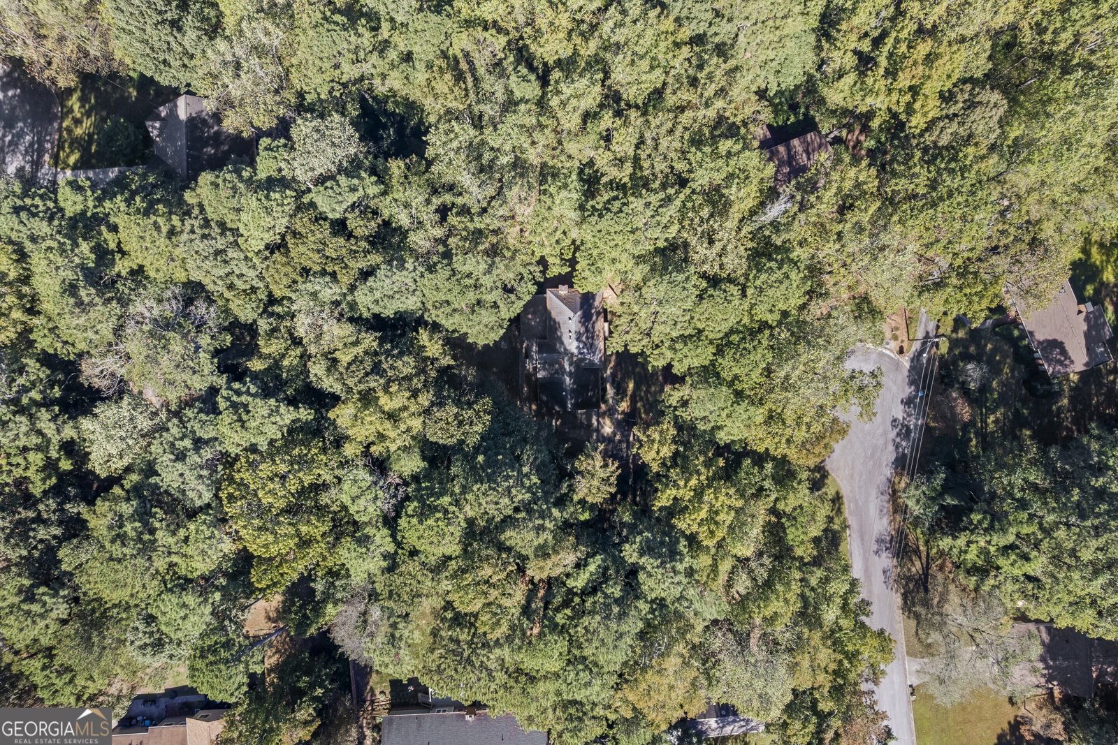 1461 Fox Forest Terrace Lilburn - 59