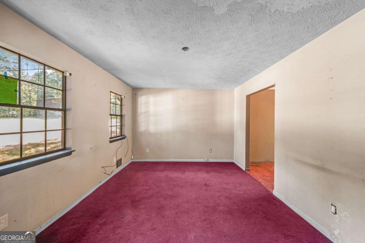 3541 Santa Leta Drive Ellenwood - 5