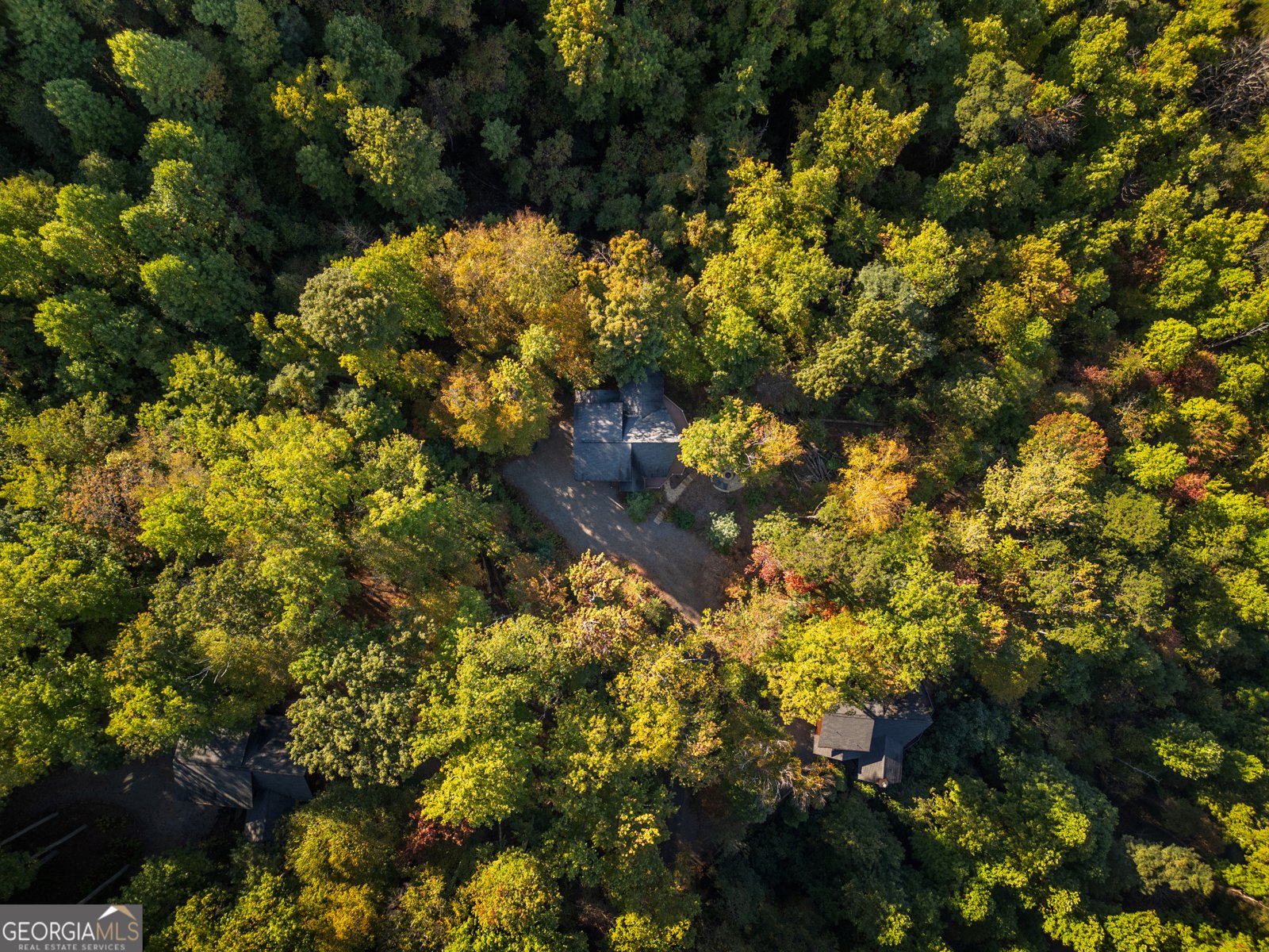 556 Grandeur Drive Blue Ridge - 40