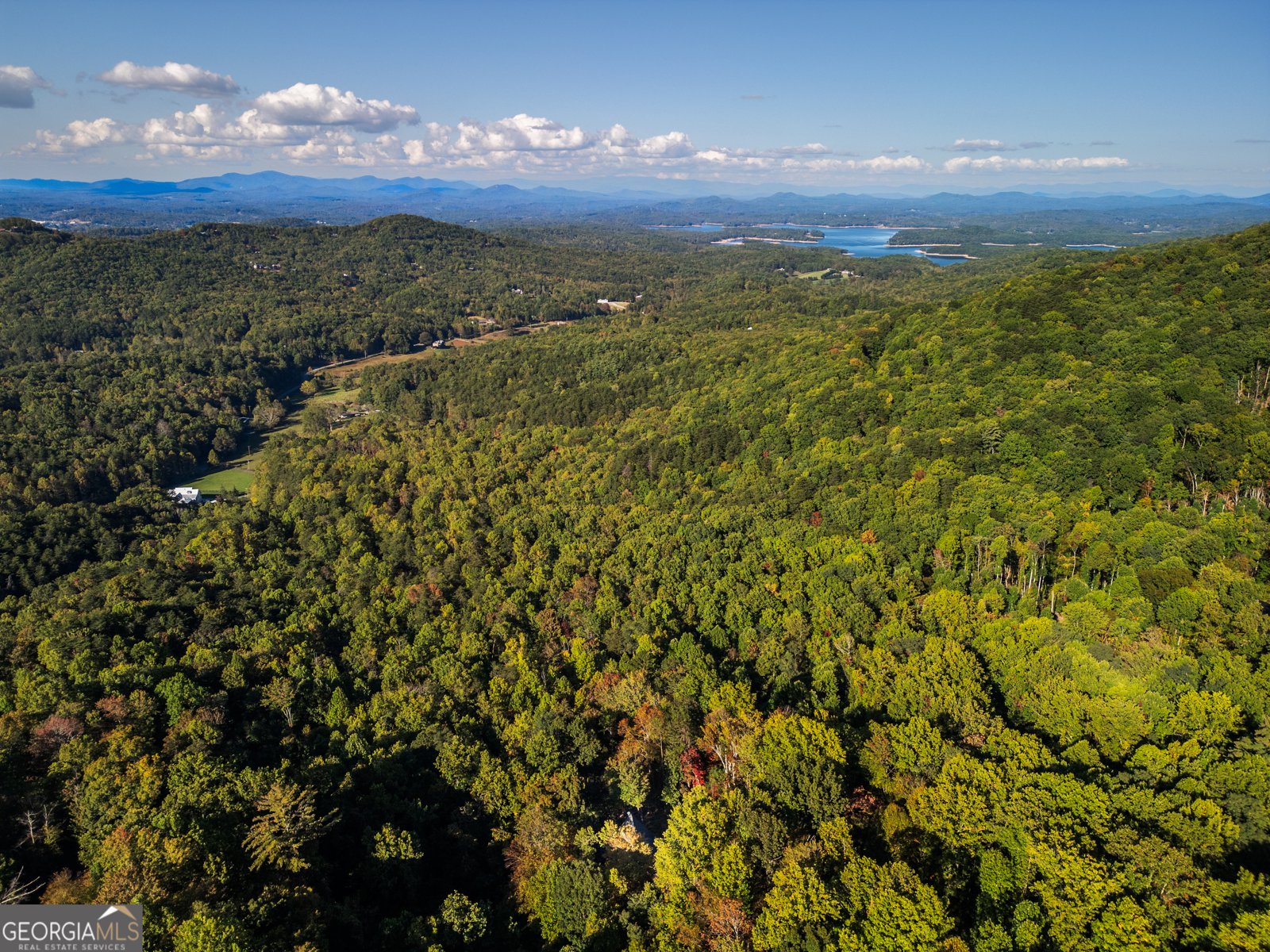 556 Grandeur Drive Blue Ridge - 41