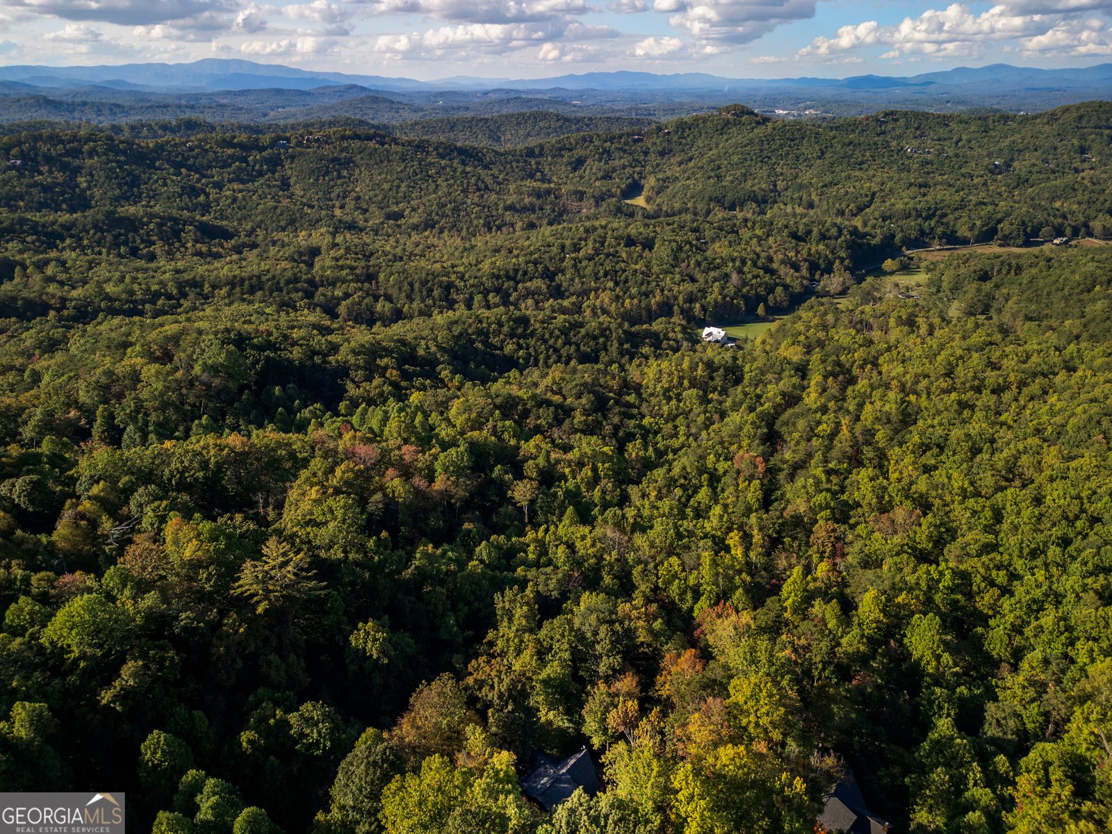 556 Grandeur Drive Blue Ridge - 42