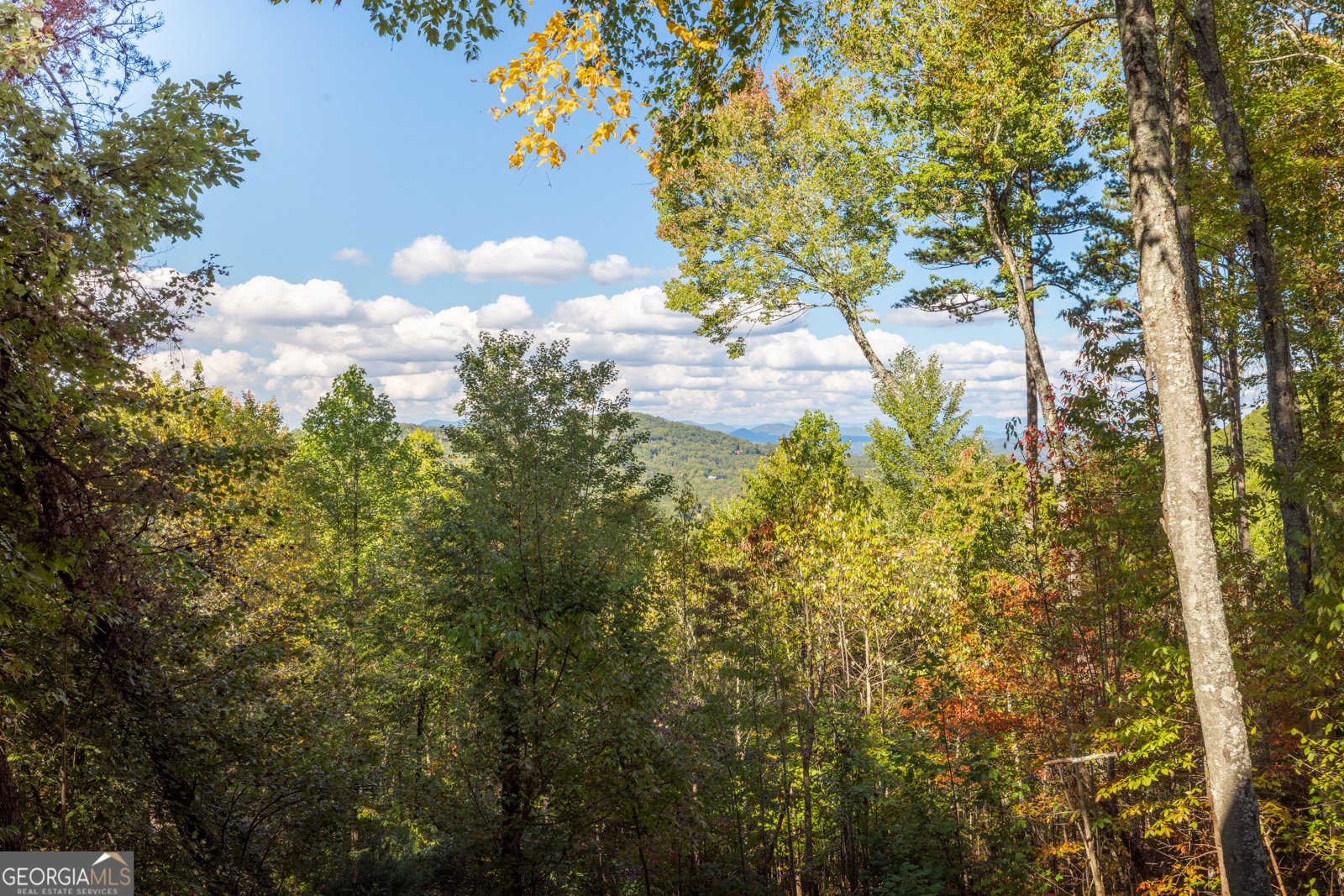 556 Grandeur Drive Blue Ridge - 45