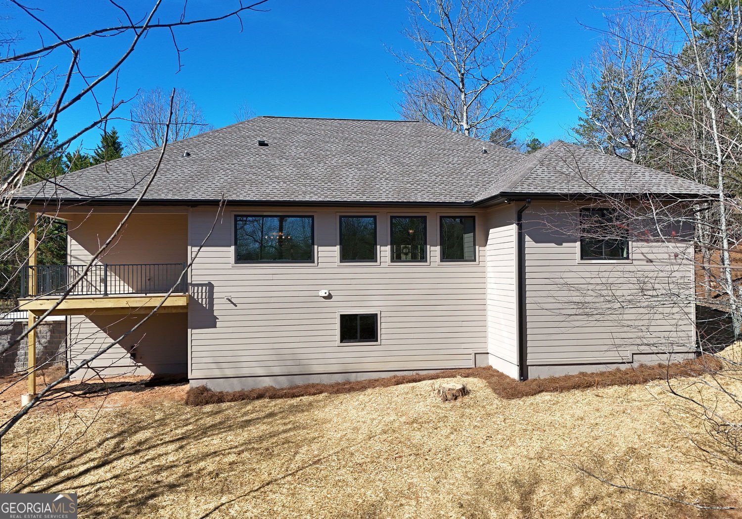 2408 Standing Meadows Drive Young Harris - 10