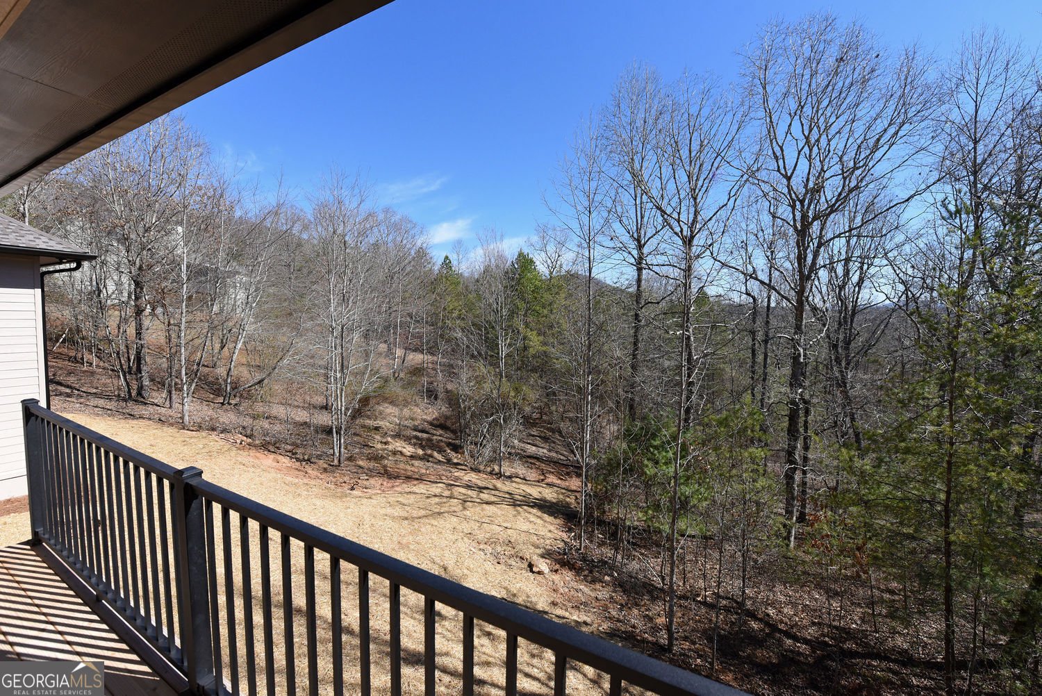 2408 Standing Meadows Drive Young Harris - 28