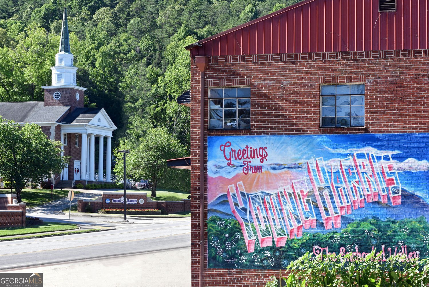 2408 Standing Meadows Drive Young Harris - 47