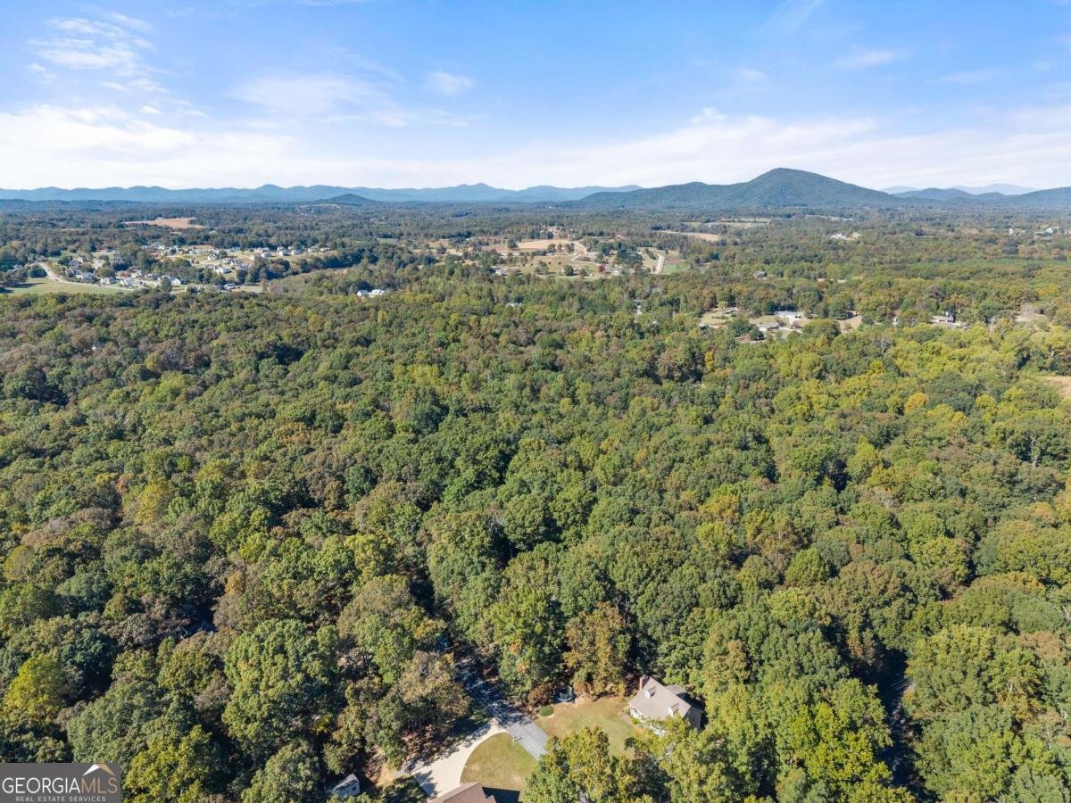 2856 Woodbriar Drive Gainesville - 17
