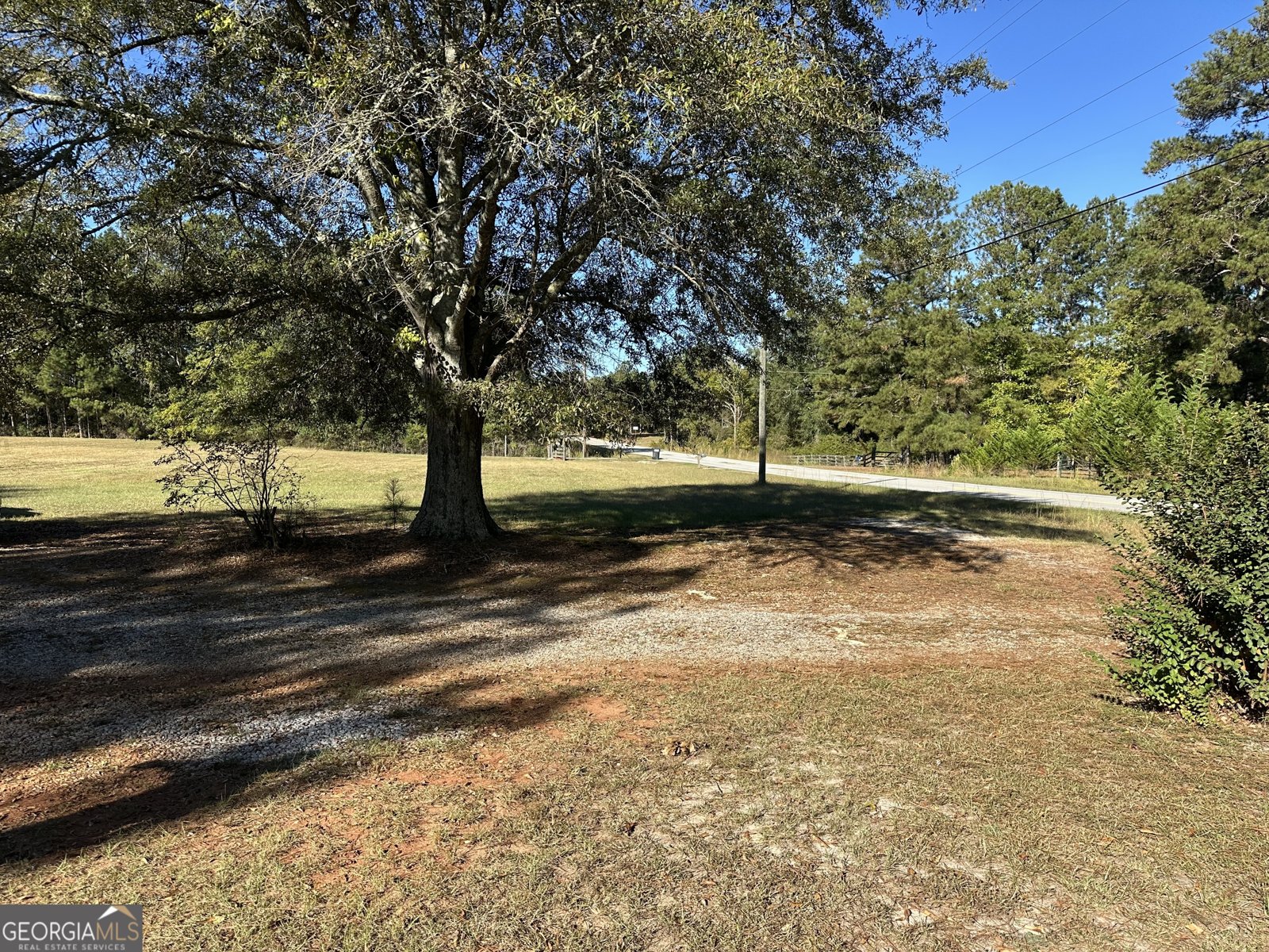 303 Line Creek Road Senoia - 3