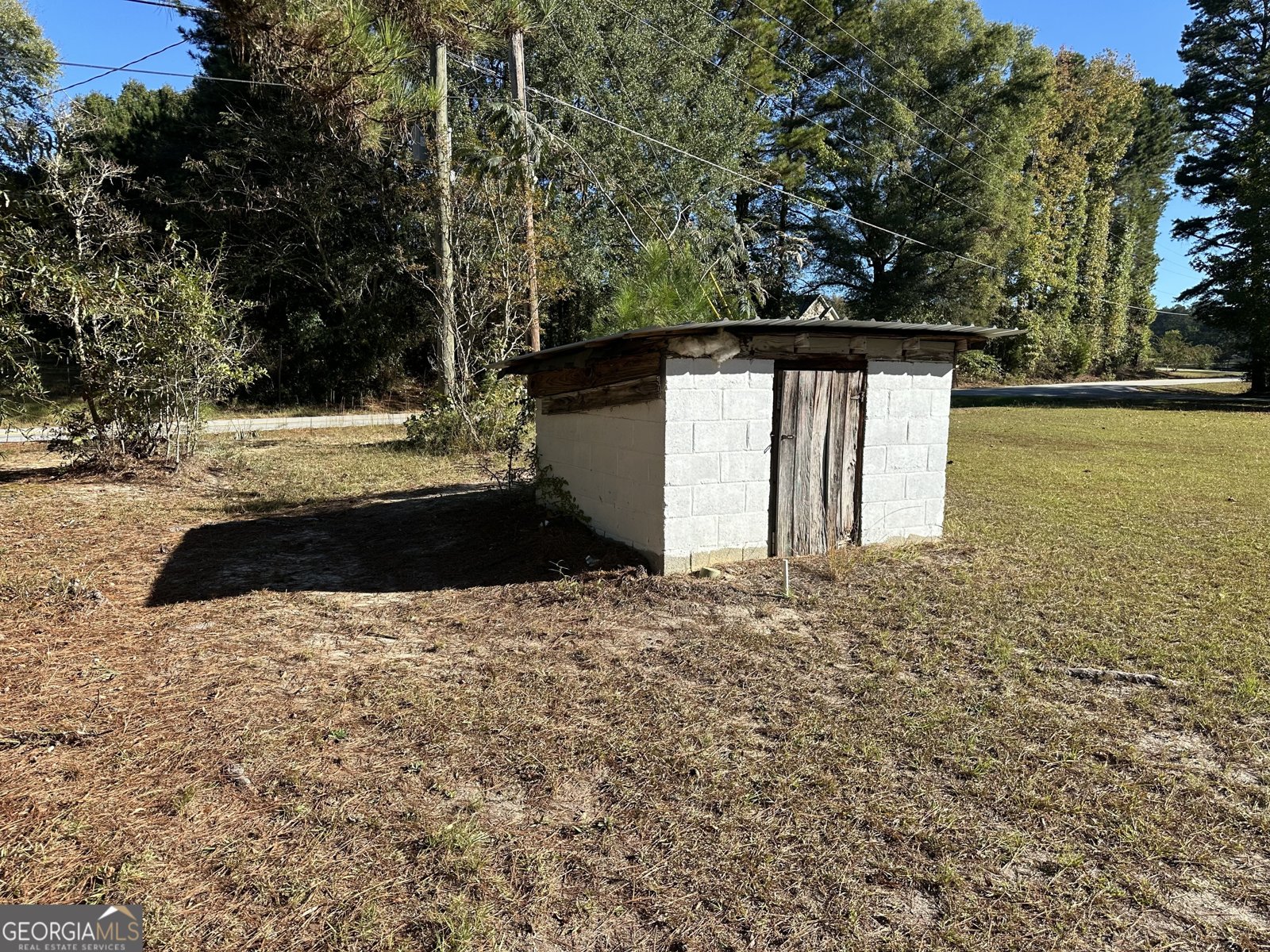 303 Line Creek Road Senoia - 4