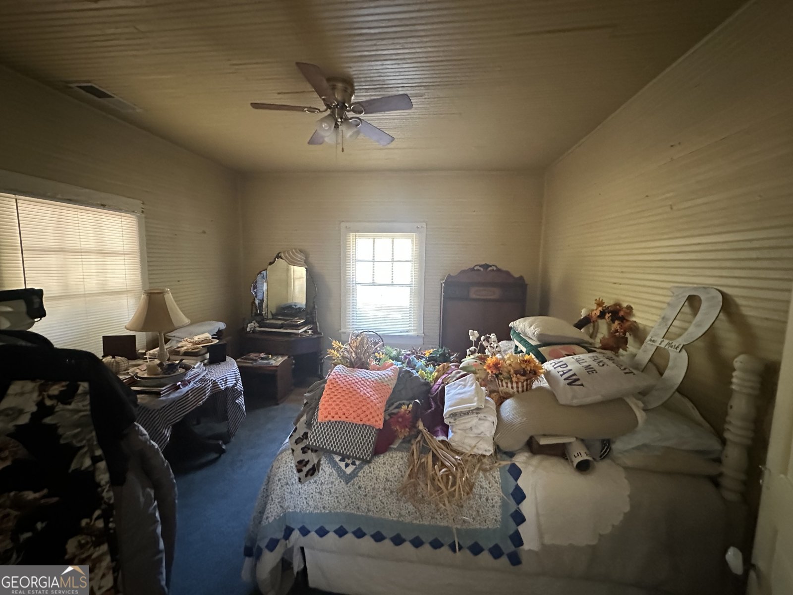 303 Line Creek Road Senoia - 8