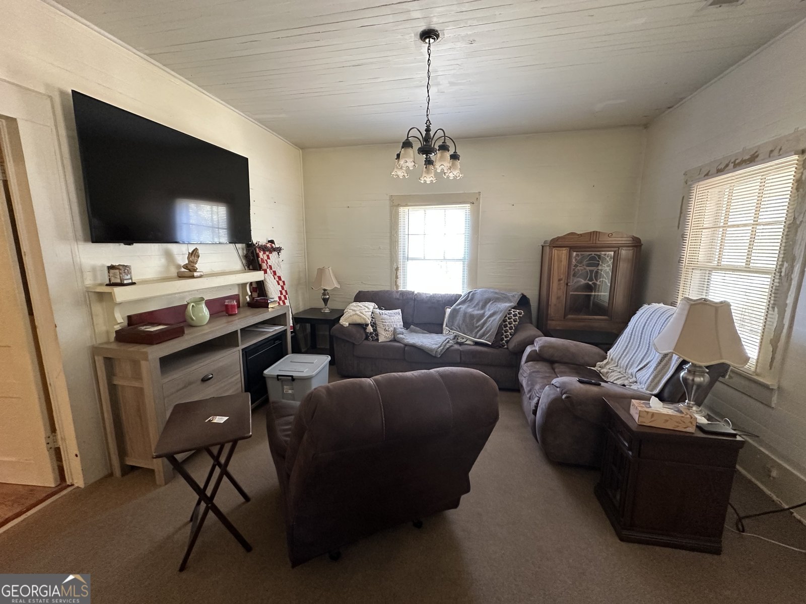 303 Line Creek Road Senoia - 9