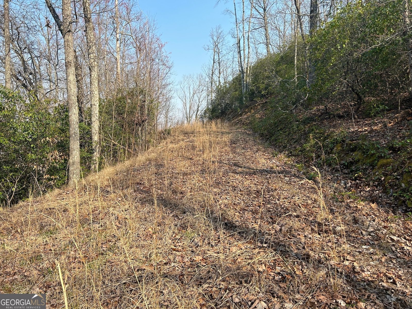 1306 Hot House Road Hayesville - 10