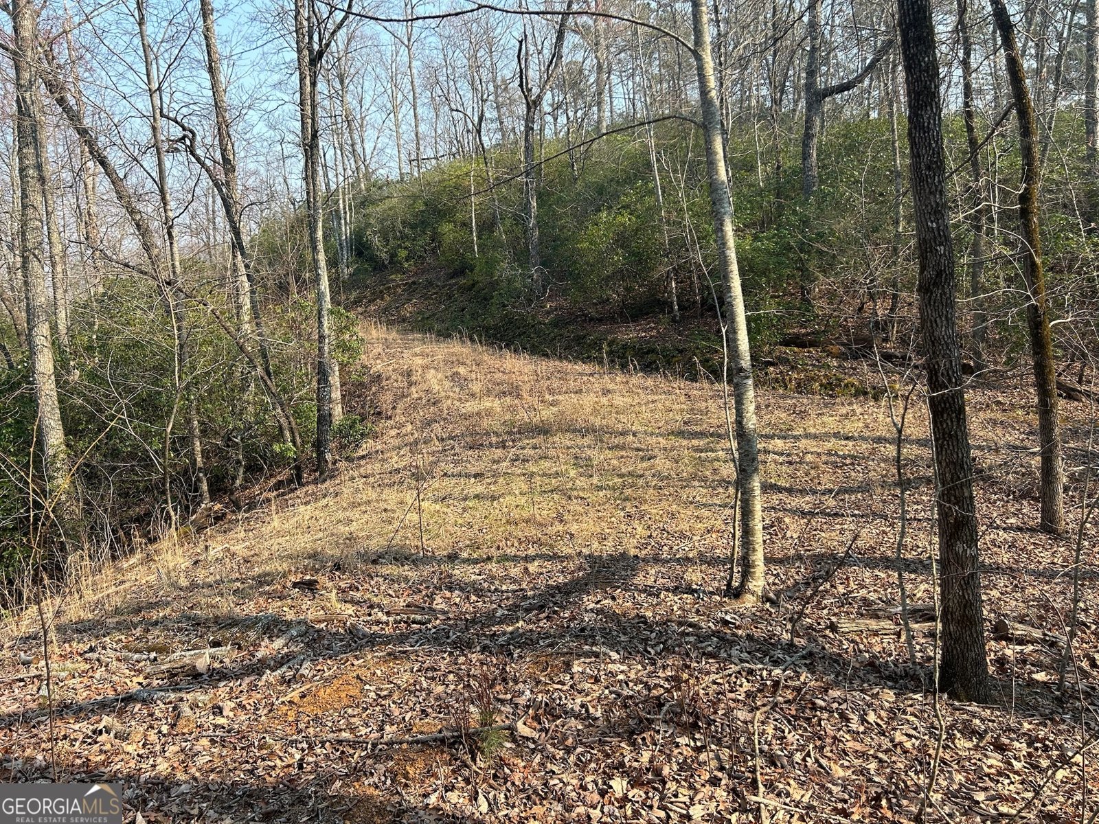 1306 Hot House Road Hayesville - 11