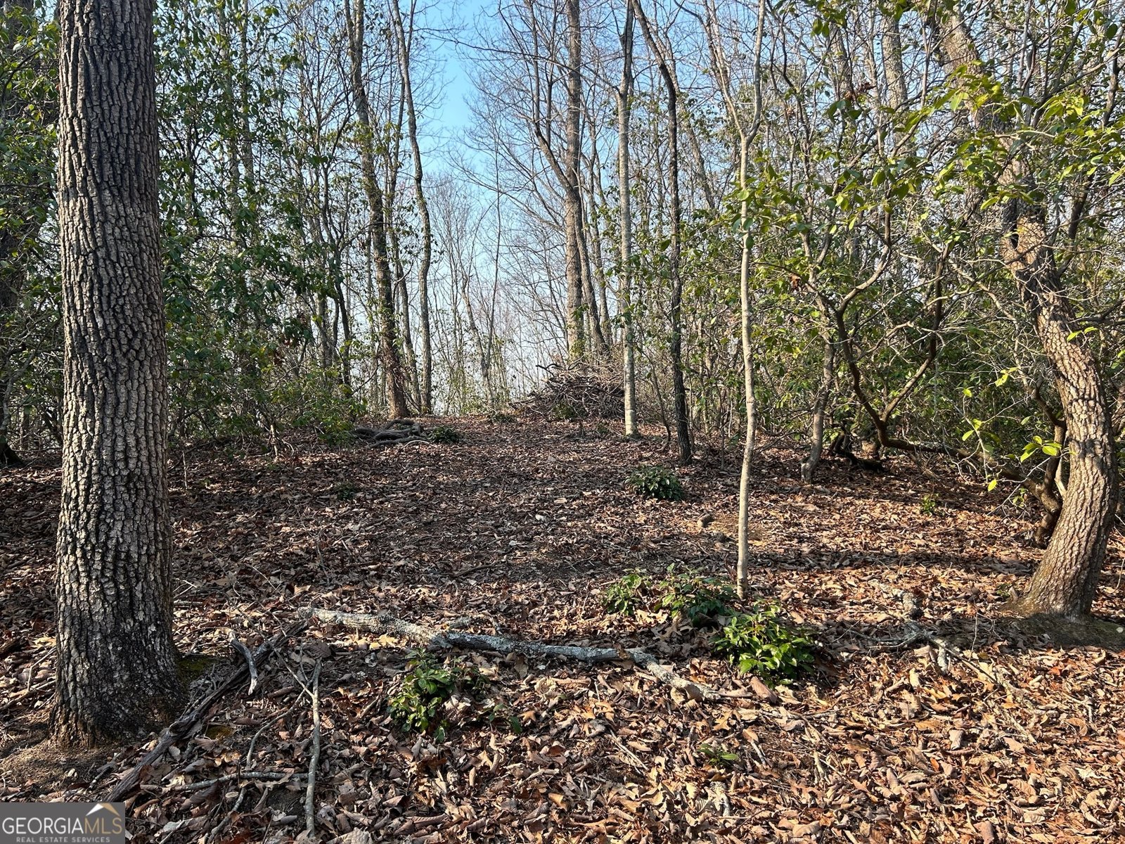 1306 Hot House Road Hayesville - 12