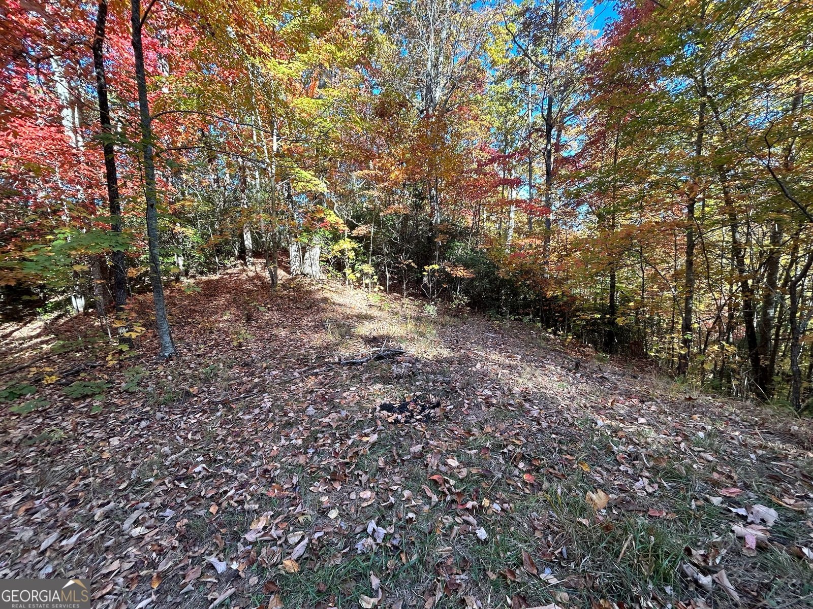 1306 Hot House Road Hayesville - 13