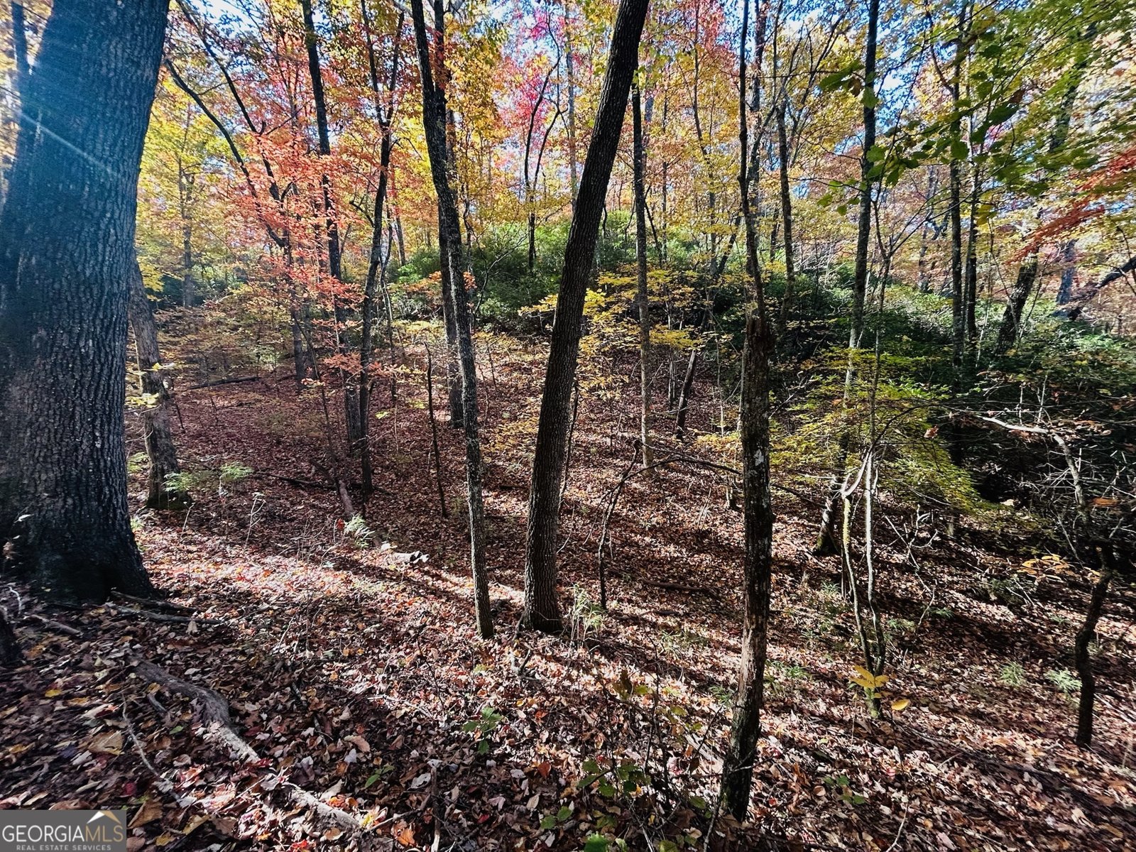 1306 Hot House Road Hayesville - 16