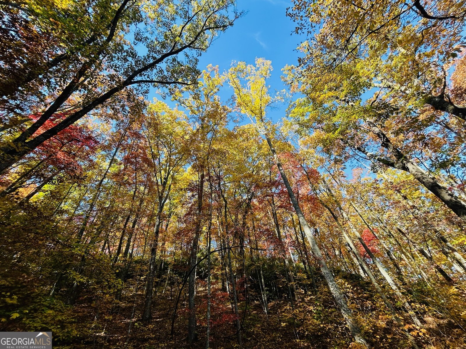 1306 Hot House Road Hayesville - 17