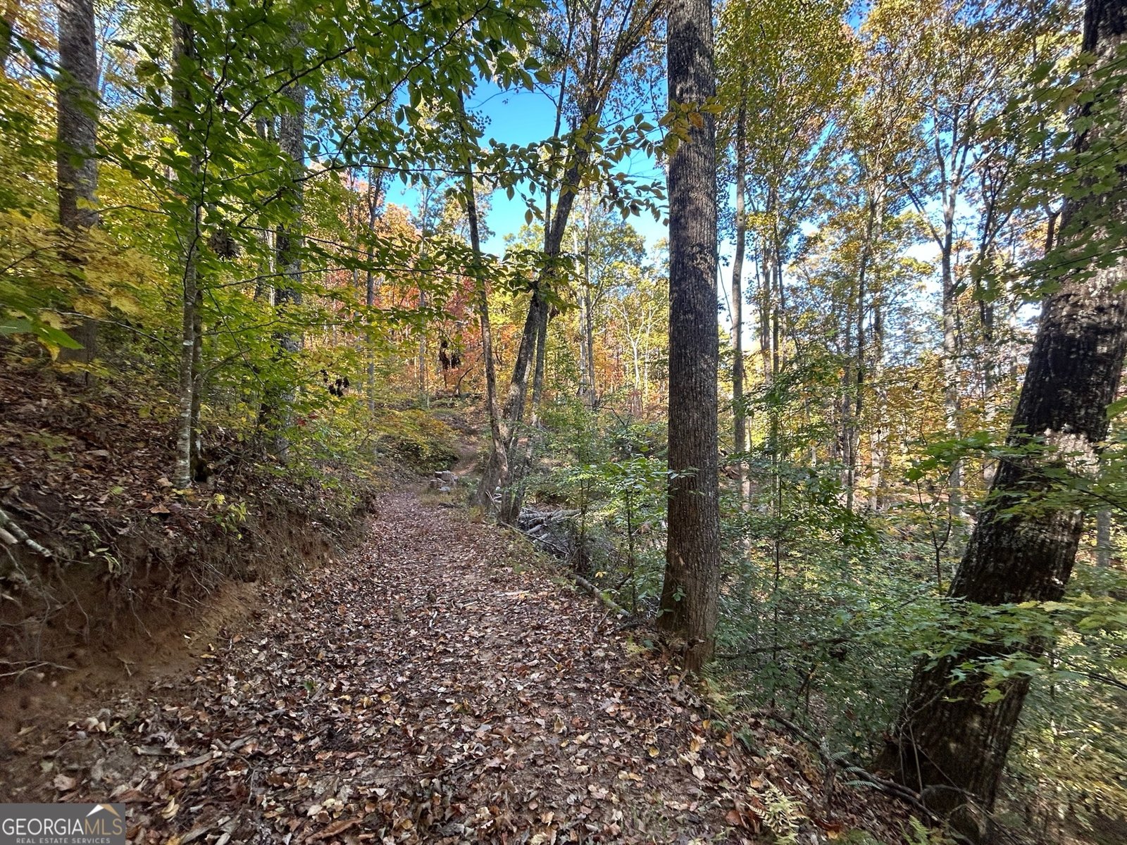 1306 Hot House Road Hayesville - 18